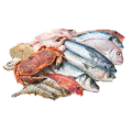 Рыба, морепродукты