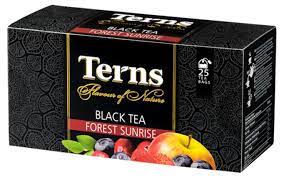 Чай черный TERNS Forest Sunrise со вкусом лесных ягод, 25 пак