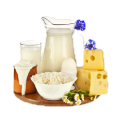 Молочные продукты, яйцо