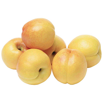 10633 Нектарины Узбекистан кг