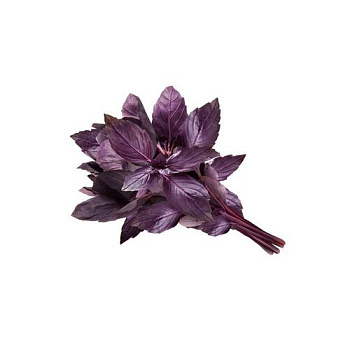 Базилик красный 30гр, шт Престиж