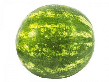 6323 Арбуз, кг