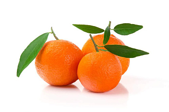 Мандарин Бейби