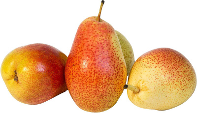 Груша Форель