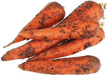 Морковь Фермерская немытая, кг