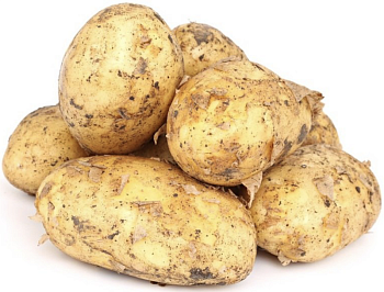 Картофель новый урожай, фасовка, кг