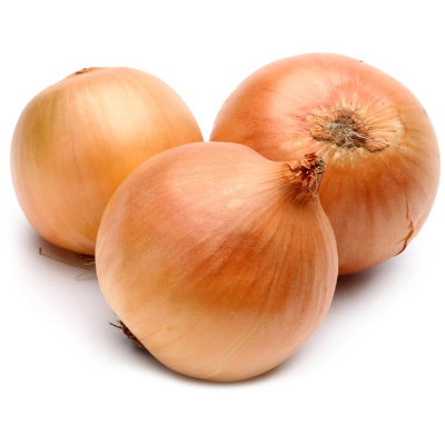 5871 лук репчатый