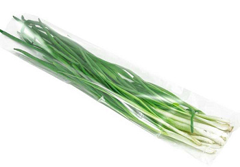 13579 Лук зеленый ,шт Зеленая страна