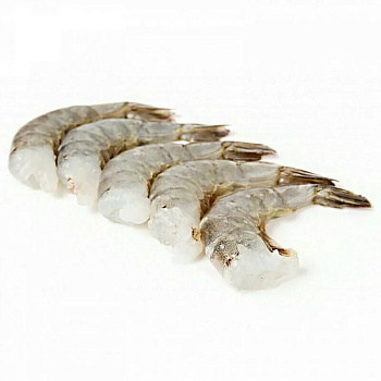 40917 Креветки Королевские  свеже-мороженые 21&25  без головы вес