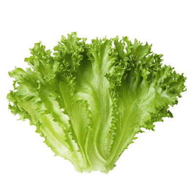 6984 Салат Фриллис, уп.