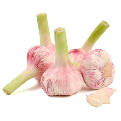 5846 Чеснок свежий, кг